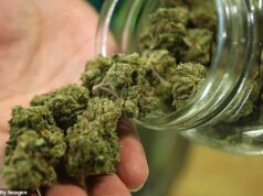 Dez médicos ‘prescrevem mais da metade de toda a cannabis medicinal’ desde a legalização na Grã-Bretanha