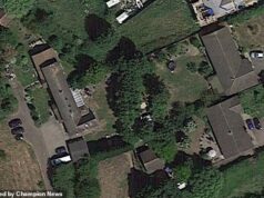 Irmãos que foram ao jardim de um vizinho enfrentam uma conta de £ 250.000 depois de processar com sucesso seu Leylandis de 33 pés por hackear