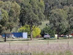 Daisy Freeman tinha uma conexão bombástica com seu esconderijo – e é exatamente por isso que ela estreitou sua rota de fuga para uma pequena cidade.