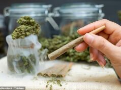 O consumo de cannabis a longo prazo «altera a estrutura cerebral e deixa os utilizadores deprimidos, incapazes de tomar decisões e com dificuldades para lidar com tarefas complexas»