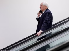 A líder de torcida da guerra Lindsey Graham incendeia impiedosamente a Disney World em busca de comida enquanto milhares de funcionários federais ficam sem remuneração