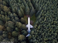 Dois adolescentes ficaram feridos quando um avião Boeing 727 convertido derrubou uma casa famosa no Oregon