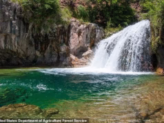 Turista pula da cachoeira e levanta o polegar após pousar… momentos depois a água poderosa o empurra e o afoga.