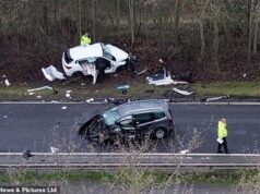 Motorista de drogas que ‘amava profundamente’ Scott morto em acidente na prisão