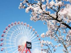 A dupla partida de Suzuka surgiu como uma alternativa caso as corridas do Bahrein e da Arábia Saudita fossem abandonadas