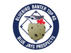 40 melhores probabilidades do Bluebird Banter de 2026: 32-29