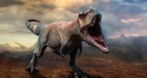 O T. rex levou 40 anos para atingir o tamanho máximo, descobriu o estudo