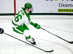 O hóquei no estado de Michigan caiu na última pesquisa nacional