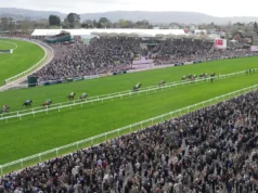 4 cavalos morrem no Festival de Cheltenham enquanto a caridade pede melhores medidas de proteção e bem-estar