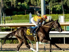 Sábado de Santa Anita: Descemos a colina, vamos