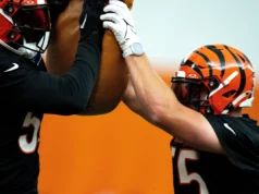 Logan Wilson fala sobre aposentadoria, penalidade do Super Bowl