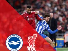 Notícias da equipe Liverpool x Brighton: