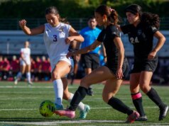 CIF NorCal Soccer Roundup, Mitty, Las Lomas, SRV Meninos, Meninas, DLS, Berkeley