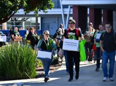 Professores em greve por proposta de demissão