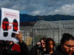 ICE detém 46 pessoas fora da prisão do condado de Santa Clara e gera protestos – The Mercury News