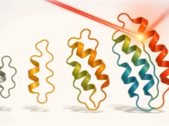 A evolução dirigida pela luz produz proteínas que podem mudar, sentir e computar