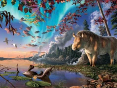 Cientistas encontram um rinoceronte no Ártico e isso muda tudo