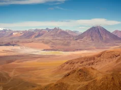 Maravilhas do Atacama: o deserto mais seco do mundo está cheio de vida escondida