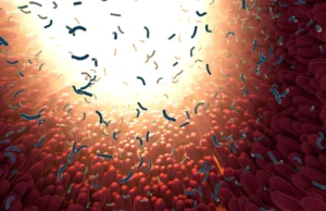 Cientistas testaram 39 adoçantes e encontraram efeitos intestinais inesperados