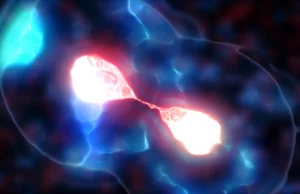 Os cientistas finalmente resolveram o mistério do minúsculo centrômero da levedura