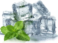 Os cientistas finalmente revelaram por que a hortelã está esfriando