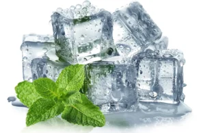 Os cientistas finalmente revelaram por que a hortelã está esfriando