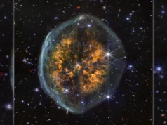 A Web da NASA capturou uma estranha nebulosa em forma de cérebro em torno de uma estrela moribunda
