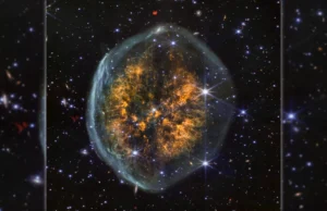 A Web da NASA capturou uma estranha nebulosa em forma de cérebro em torno de uma estrela moribunda