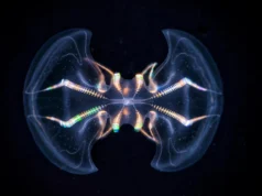 Esta antiga criatura marinha pode já ter tido um cérebro