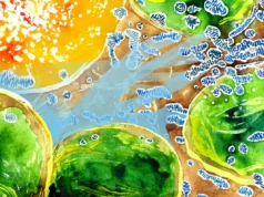 Cientistas descobrem cabo de guerra do oxigênio dentro das células vegetais