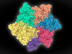 Proteína oculta do fundo do mar pode turbinar testes de doenças