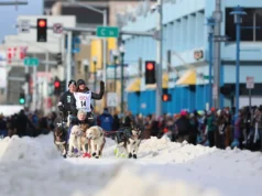 O que saber: Downtown Anchorage se prepara para uma aquisição canina com o início da 54ª edição do Iditarod