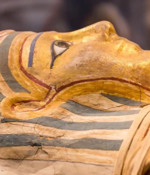 egyptian-mummy-head-close-up.webp.webp