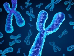 Os homens perdem um cromossomo chave com a idade e isso pode ser fatal