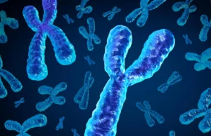 Os homens perdem um cromossomo chave com a idade e isso pode ser fatal