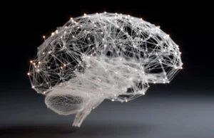 A inteligência surge quando todo o cérebro trabalha em conjunto