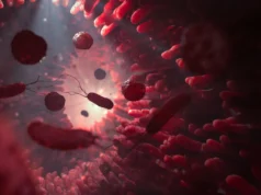 Novo “superantibiótico” impede infecções intestinais graves sem destruir o microbioma