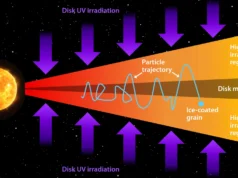 As luas de Júpiter podem ser compostas por elementos de vida