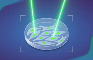 A IA finalmente testa uma teoria centenária sobre como o câncer começa