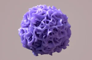 Cientistas descobrem mudança genética que mantém seus órgãos saudáveis