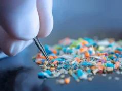 Luvas de laboratório podem distorcer dados sobre microplásticos, cientistas chocados