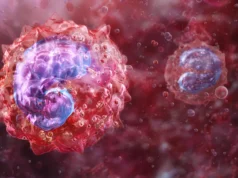 Cientistas descobrem células imunológicas ligadas à fadiga e sintomas prolongados de Covid