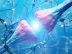 Cientistas descobrem proteína cerebral que provoca recaída de cocaína