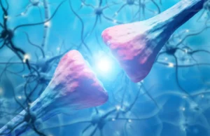 Cientistas descobrem proteína cerebral que provoca recaída de cocaína