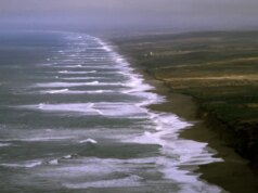 Homem de East Bay morre em emergência de água marinha – The Mercury News