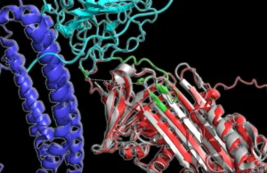 Um estranho padrão de proteína no sangue pode revelar Alzheimer