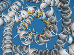 Cientistas descobrem “válvula de transbordamento” em células ligadas à doença de Parkinson