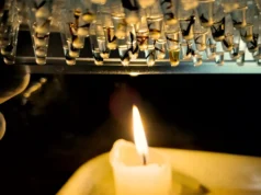 Metade dos insetos amazônicos pode sofrer estresse térmico perigoso