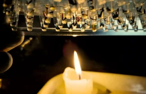 Metade dos insetos amazônicos pode sofrer estresse térmico perigoso