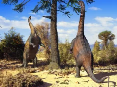 Alguns dinossauros podem crescer como gigantes até ficarem muito grandes
